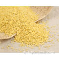 Proso Millet Rice